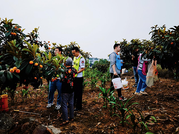 1684140680639280.png 第八黨支部開展“南郊鄉(xiāng)匯·愛心助農(nóng)” 志愿者活動2.png